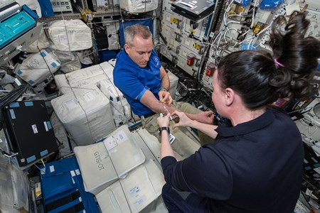 Le Dr David Saint-Jacques s’est fait prélever du sang à bord de la Station spatiale internationale pour les besoins d’une étude ottavienne sur la santé de la moelle osseuse. Image fournie par la NASA.
